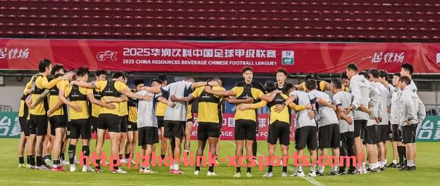 杏彩体育-西甲联赛龙珠直播入口与APP安装指南