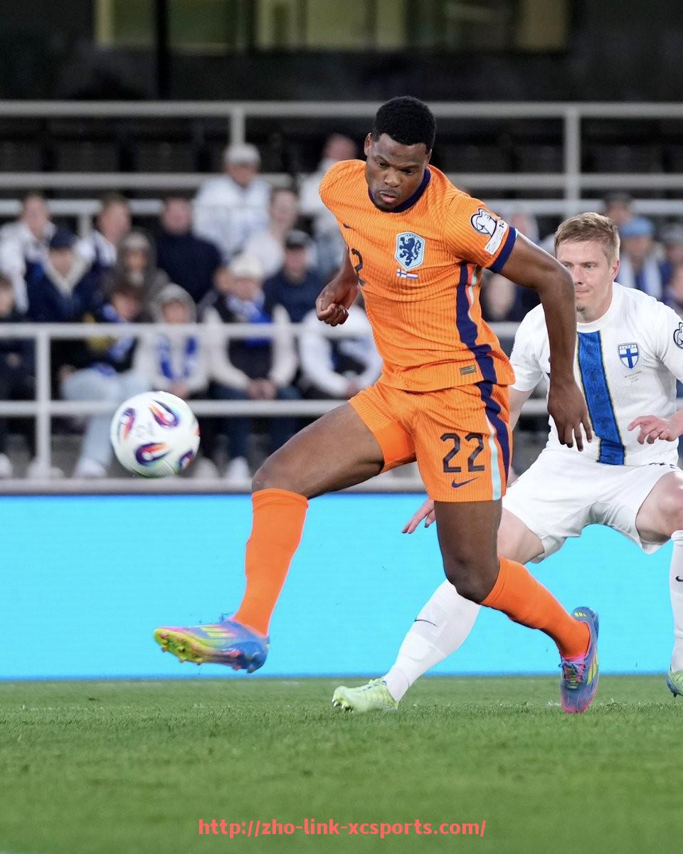 杏彩体育-世俱杯中场表演节目安排,音乐与视觉的跨界融合演绎