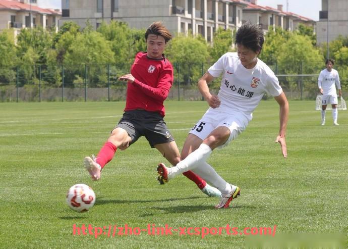 杏彩体育-世俱杯比赛场地公布:各赛场容量与交通配套详解