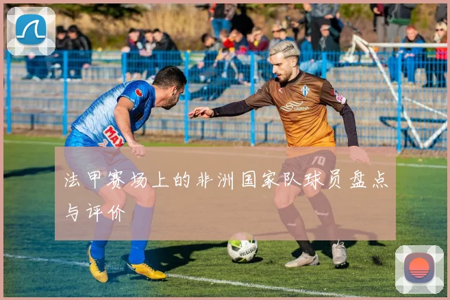 法甲赛场上的非洲国家队球员盘点与评价